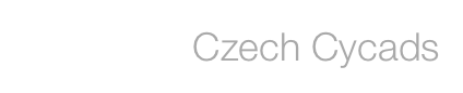 Czech Cycads